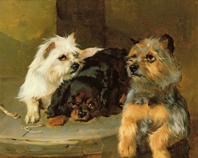 Give a Poor Dog a Bone by George Wiliam Horlor